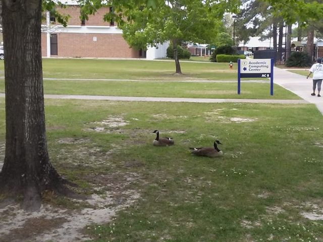 Photo of Tallahassee Community College