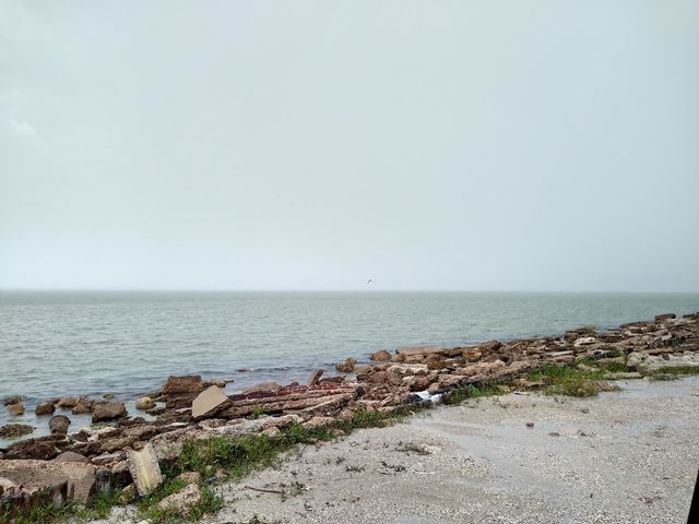 Photo of Texas A & M University-Corpus Christi