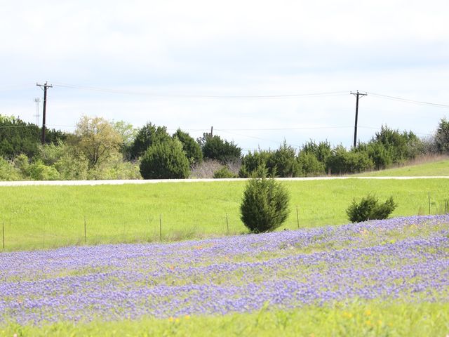 Photo of Texas A&M University-Central Texas