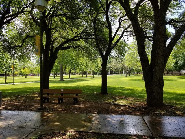 Photo of Texas Lutheran University