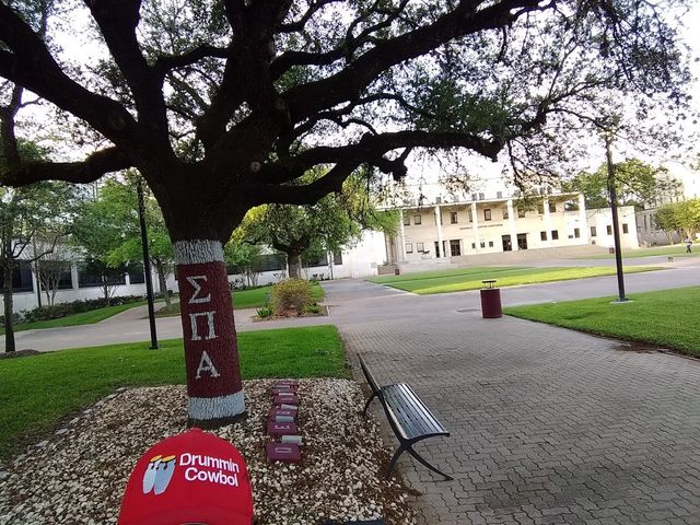 Photo of Texas Southern University
