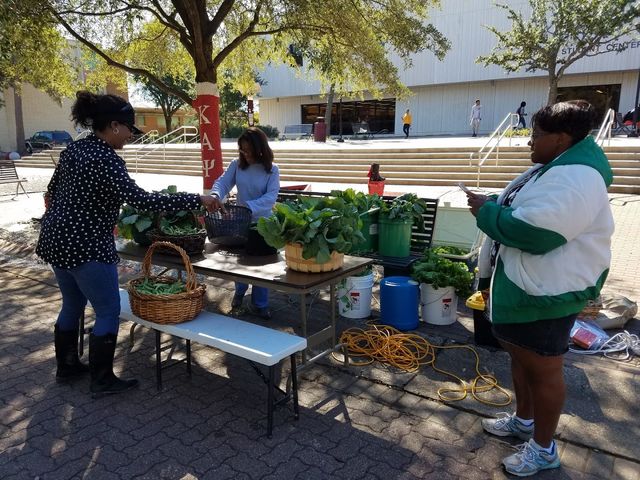 Photo of Texas Southern University