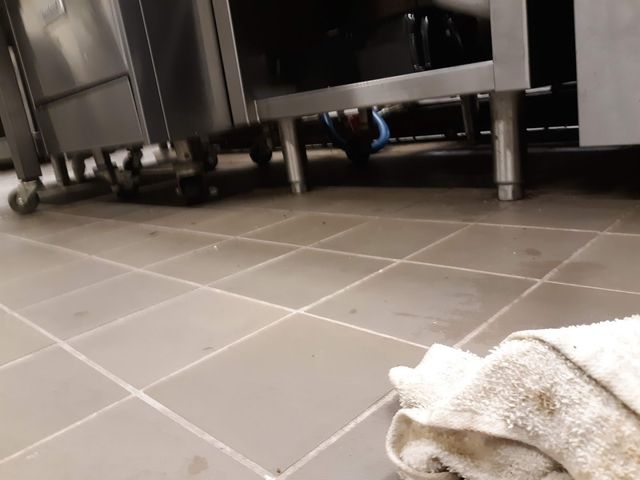 Photo of Texas State Technical College