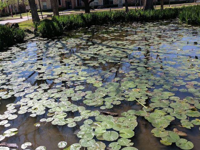 Photo of Texas Woman's University