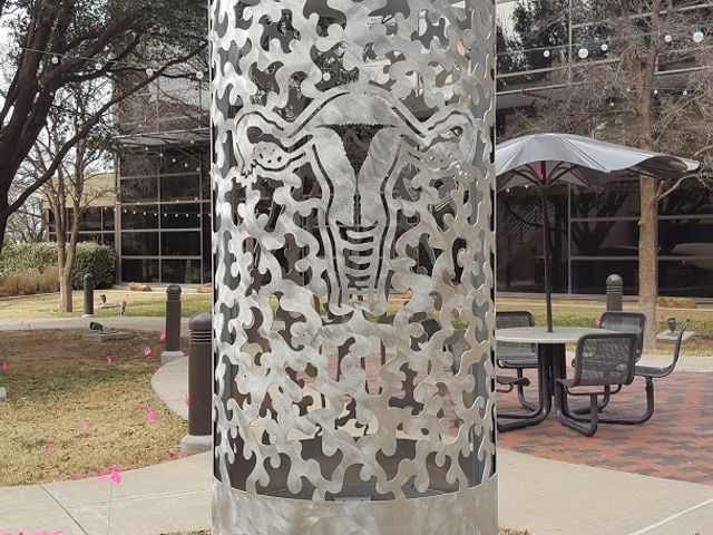 Photo of Texas Tech University Health Sciences Center