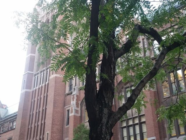 Photo of Teachers College at Columbia University