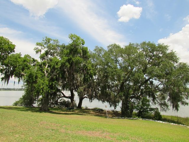 Photo of Technical College of the Lowcountry