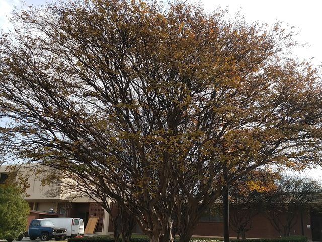 Photo of Tennessee College of Applied Technology-Memphis