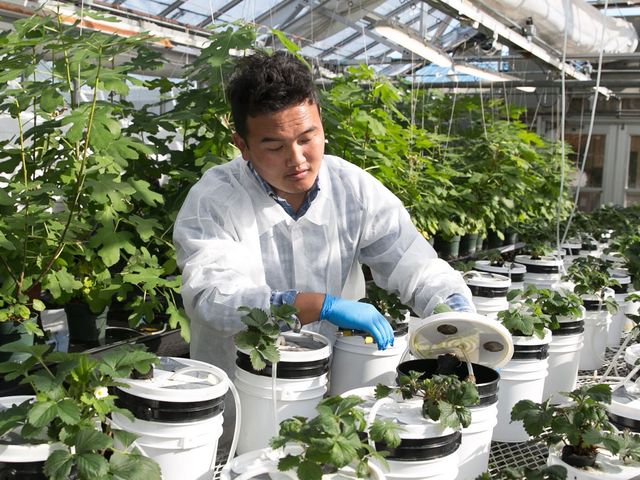 Photo of Tennessee State University