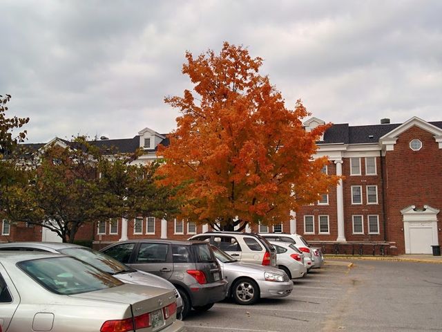 Photo of Tennessee Technological University