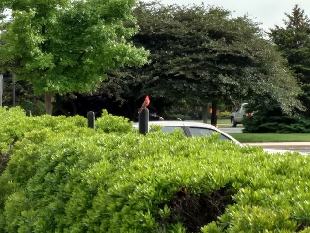 Photo of Terra State Community College