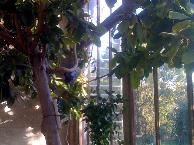 Photo of The New School