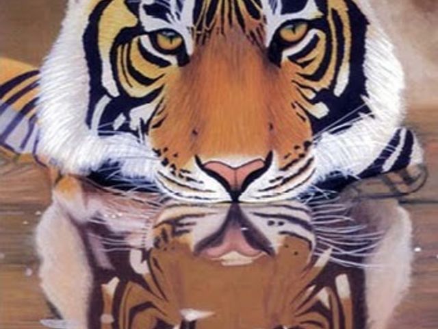 Photo of The Art Institute of Cincinnati-AIC College of Design