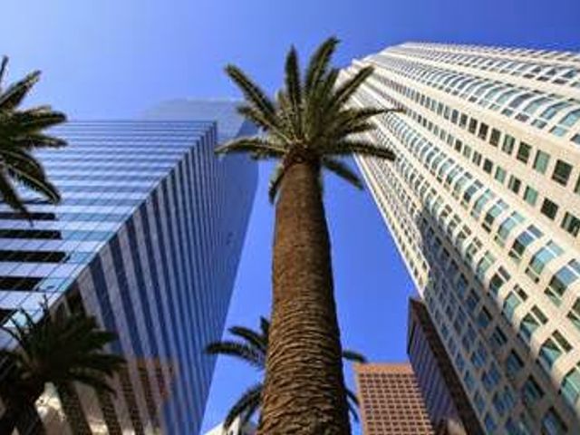 Photo of The Chicago School of Professional Psychology at Los Angeles
