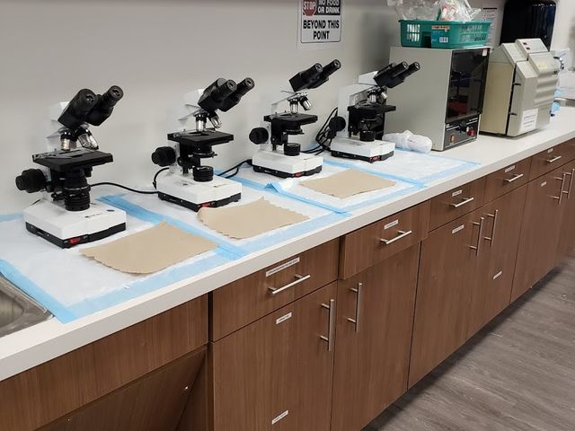Photo of The College of Health Care Professions-San Antonio
