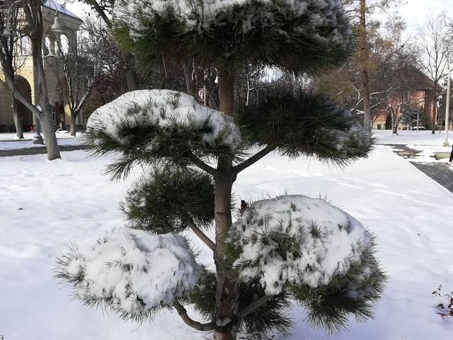 Photo of The College of Idaho