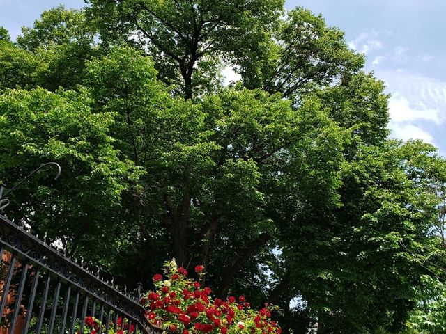 Photo of The General Theological Seminary
