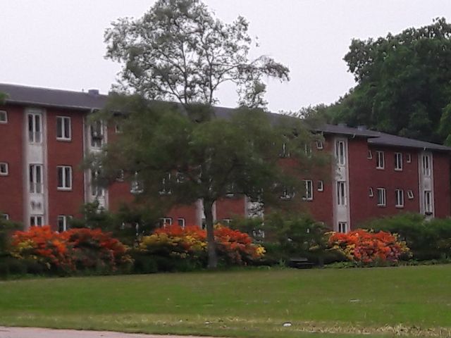 Photo of The Green Playground