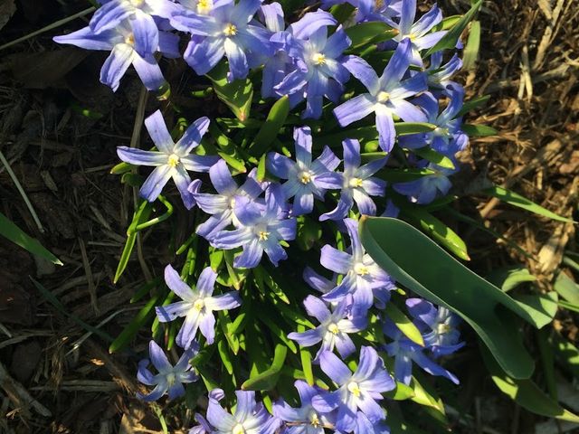 Photo of The Institute of Beauty and Wellness