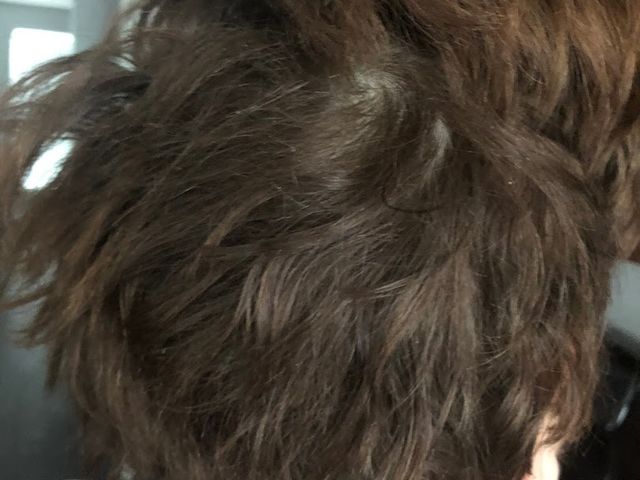 Photo of The Temple-A Paul Mitchell Partner School