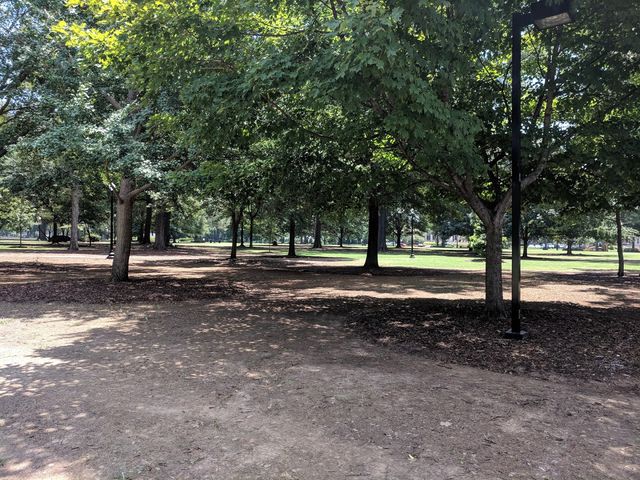 Photo of The University of Alabama