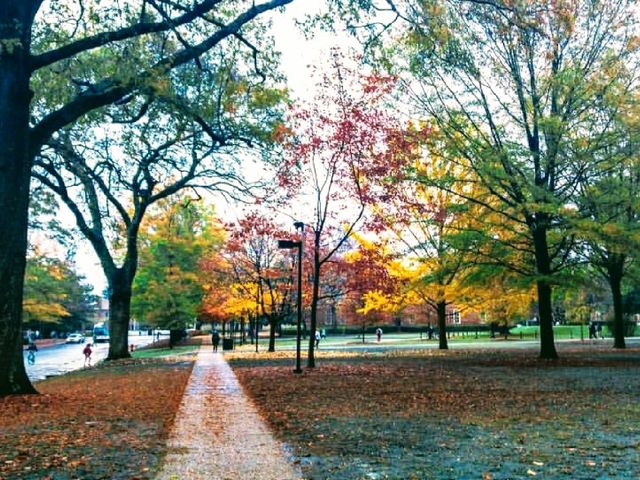 Photo of The University of Alabama