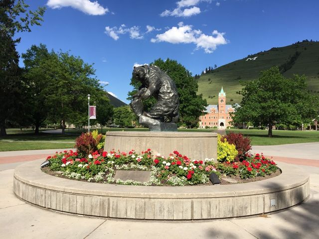 Photo of The University of Montana