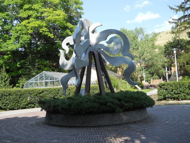 Photo of The University of Montana