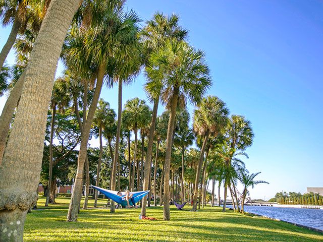 Photo of The University of Tampa