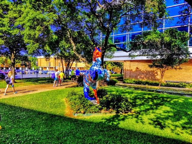 Photo of The University of Texas at Arlington