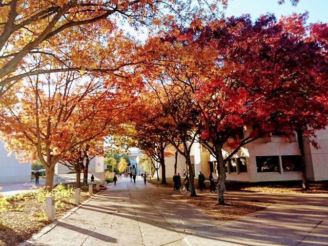 Photo of The University of Texas at Dallas