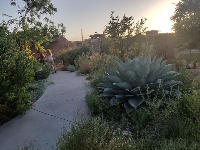 Photo of The University of Texas at El Paso