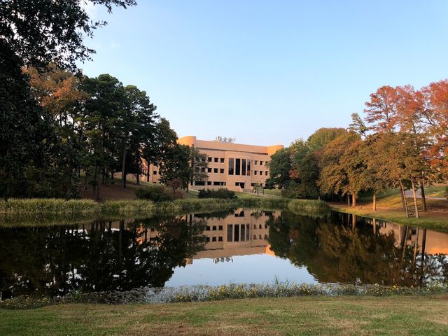 Photo of The University of Texas at Tyler