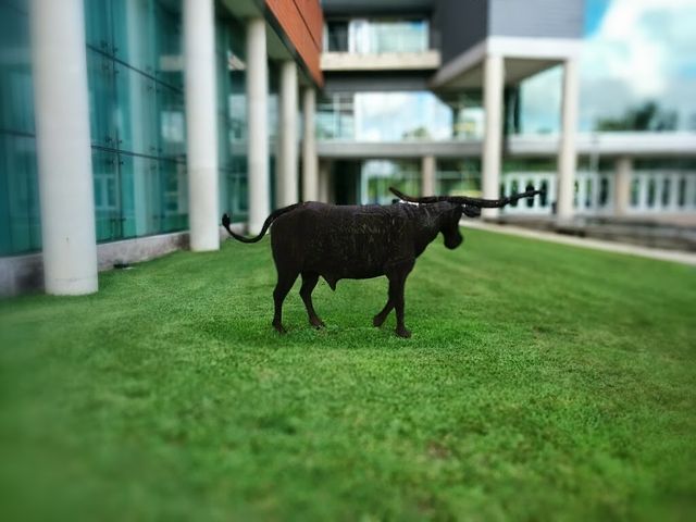 Photo of The University of Texas Health Science Center at Houston