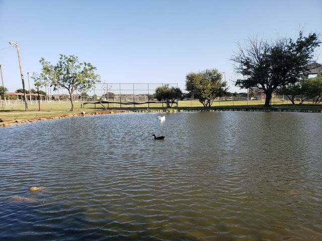 Photo of The University of Texas of the Permian Basin
