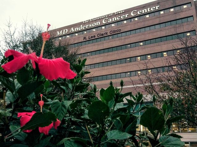 Photo of The University of Texas MD Anderson Cancer Center