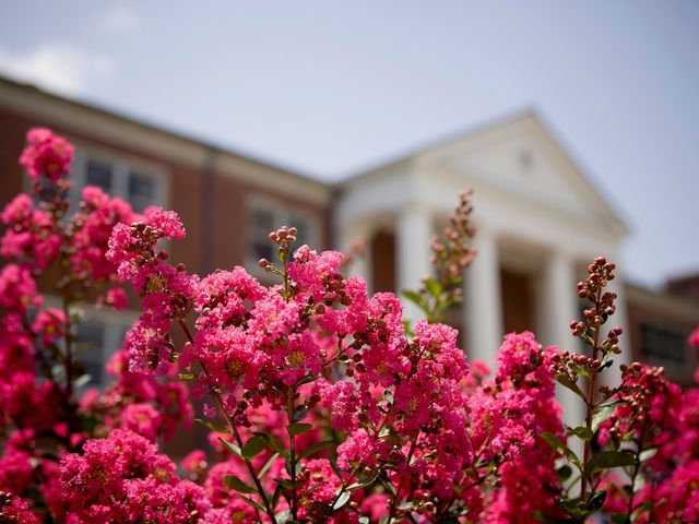 Photo of The University of Tennessee-Martin