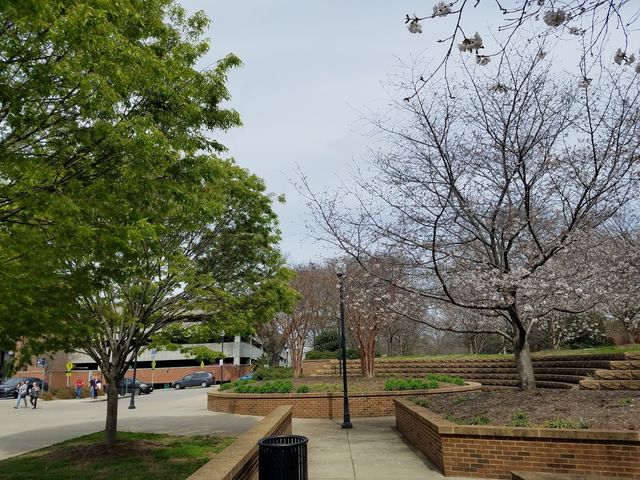 Photo of The University of Tennessee-Chattanooga