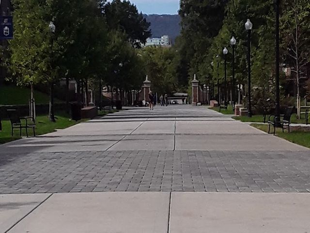 Photo of The University of Tennessee-Chattanooga