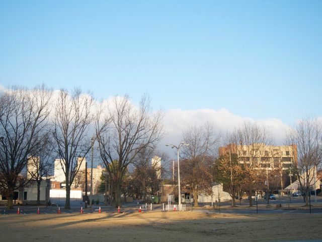 Photo of The University of Tennessee Health Science Center