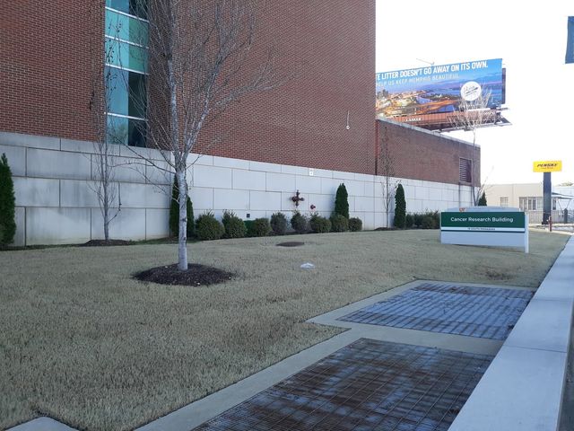 Photo of The University of Tennessee Health Science Center