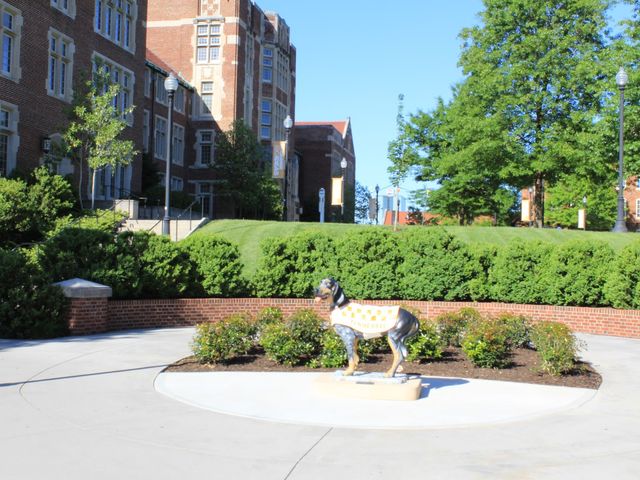 Photo of The University of Tennessee System Office