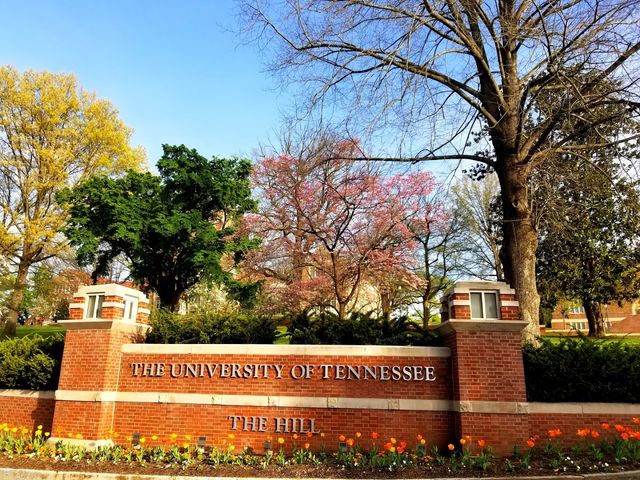 Photo of The University of Tennessee System Office