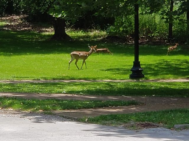 Photo of The University of the South