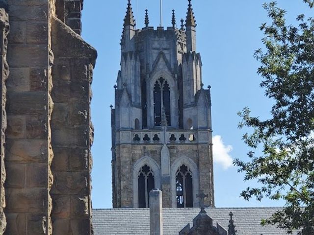 Photo of The University of the South