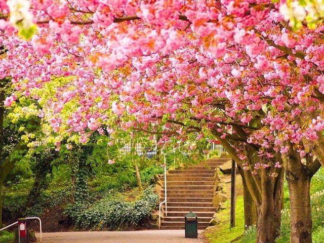 Photo of Three Rivers College