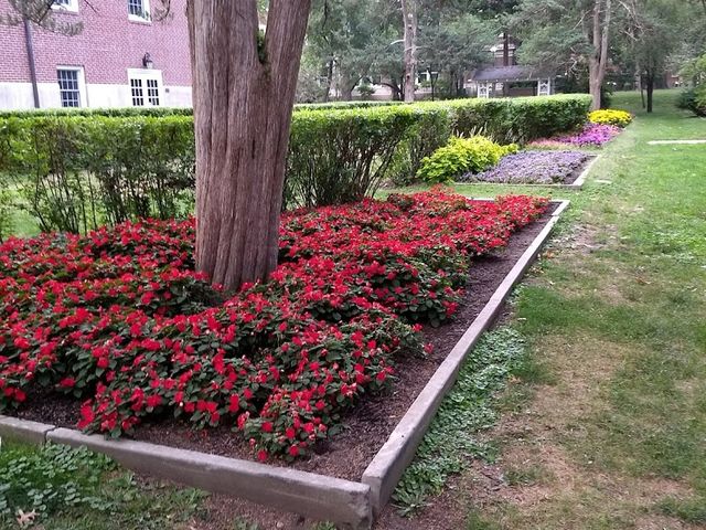 Photo of Truman State University