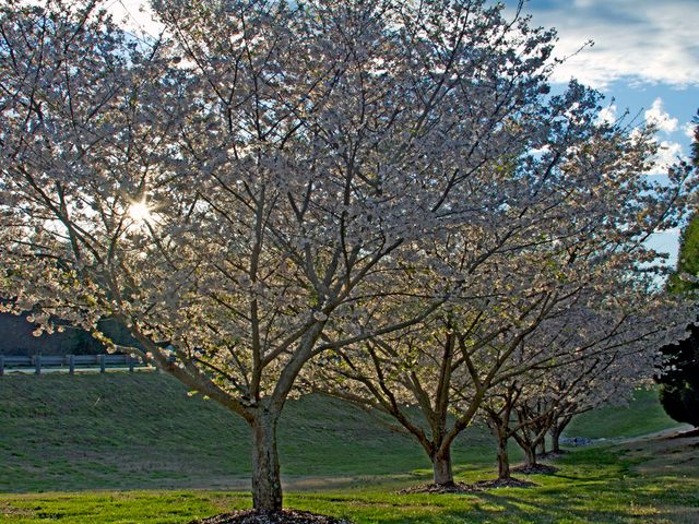 Photo of Tri-County Technical College