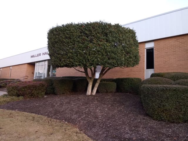 Photo of Tri-County Technical College