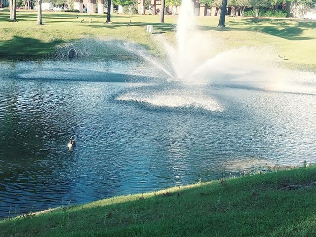 Photo of Trident Technical College